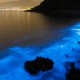 Eerie Blue Glow