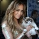 $100 M Grumpy Cat